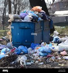 Best Property Management Cleanouts  in Warren Park, IN
