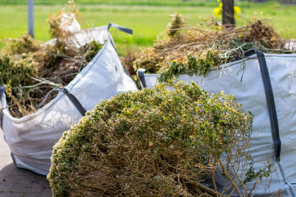 Best Shed Removal  in Warren Park, IN