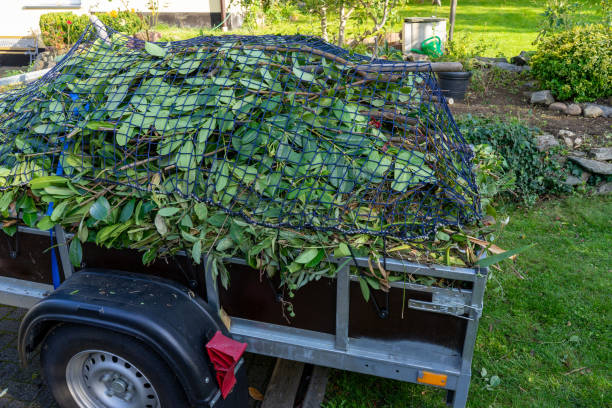 Best Moving and Downsizing Cleanouts  in Warren Park, IN